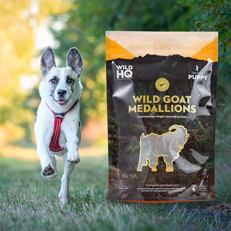 Borsa da caffè colorata con stampa digitale ecologica e custodia bassa